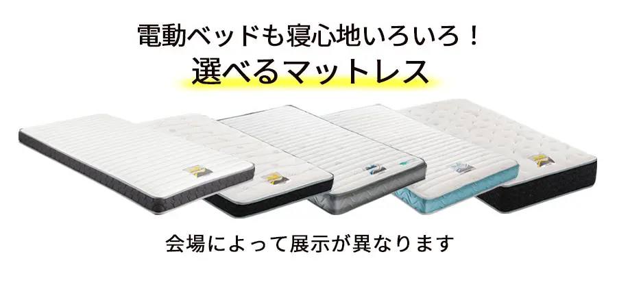 フランスベッド 電動ベッド 選べるマットレス9種類