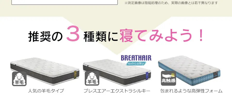 フランスベッド あなただけのオンリーワンの寝心地・眠りをお探しします。柔らかめ 腰痛 暑がり 通気性の良いマットレス 湿気 体圧分散性